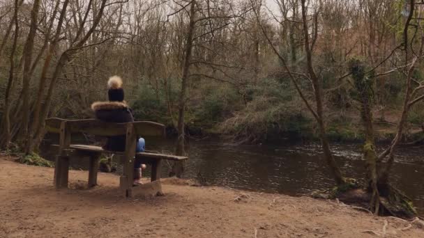 Uma Jovem Sentada Lado Rio Floresta Uma Jovem Atraente Sentada — Vídeo de Stock
