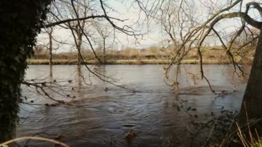 Yorkshire 'daki UK Sel Nehri. Otley, Yorkshire, İngiltere 'deki River Wharf' ın su baskını sırasındaki görüntüsü