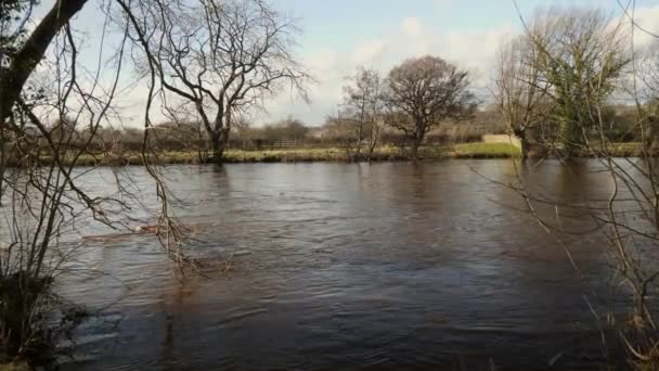 Überfluteter Fluss Yorkshire Aufnahmen Der River Wharf Otley Yorkshire Großbritannien — Stockvideo