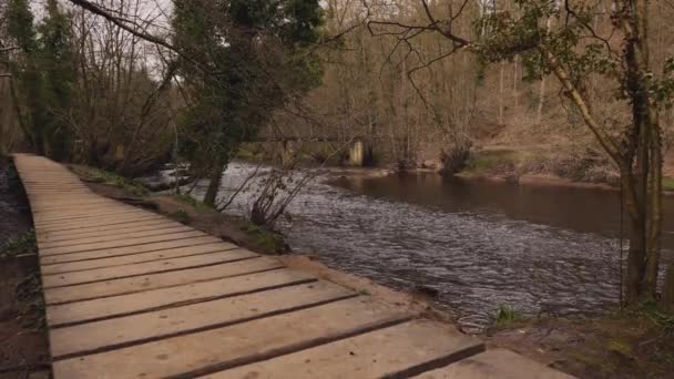 Sendero Madera Lado Río Bosque Nidderdale Área Excepcional Belleza Natural — Vídeos de Stock