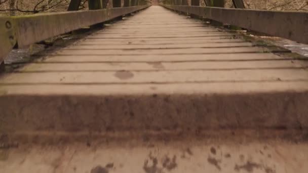 Walking Wooden Foot Bridge Forest River First Person View Someone — Stock Video