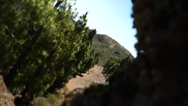 一颗旋转的子弹穿过岩石，在几棵倒映的松树之间透出美丽的景色 — 图库视频影像