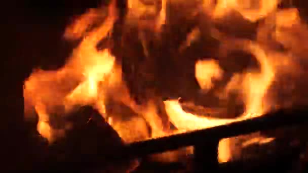 Log Bruciatore Legna Uso Close Shot 50Fps — Video Stock