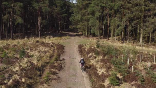 Drone Filmato Una Persona Mountain Bike Lungo Una Pista Campagna — Video Stock