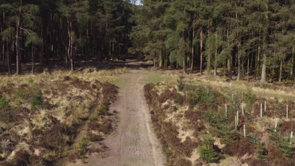 Imágenes Del Dron Una Persona Montando Bicicleta Largo Una Pista — Vídeo de stock