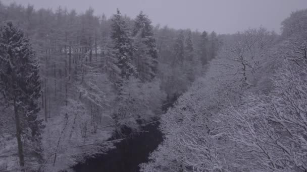 Sníh Krásné Zalesněné Oblasti Během Zimy Výhledem Řeku Vrcholu Mostu — Stock video