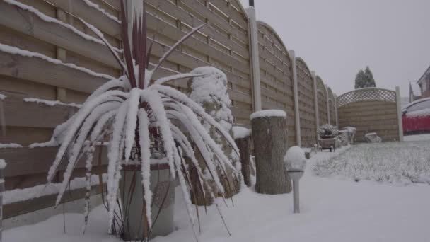 Sneeuwval Timelapse Voor Een Stadstuin — Stockvideo