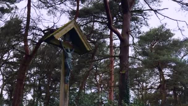 Une Structure Crucifix Bois Parmi Les Grands Arbres Des Bois — Video