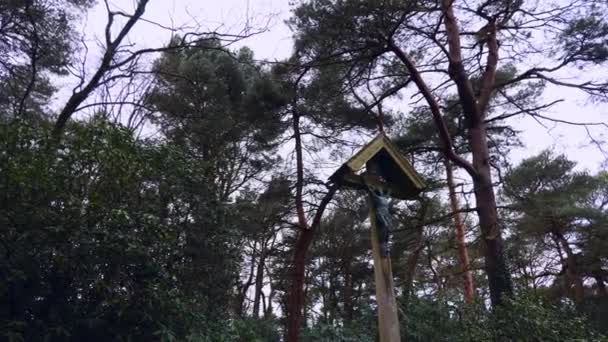 Uma Estrutura Crucifixo Madeira Entre Árvores Altas Floresta Reino Unido — Vídeo de Stock
