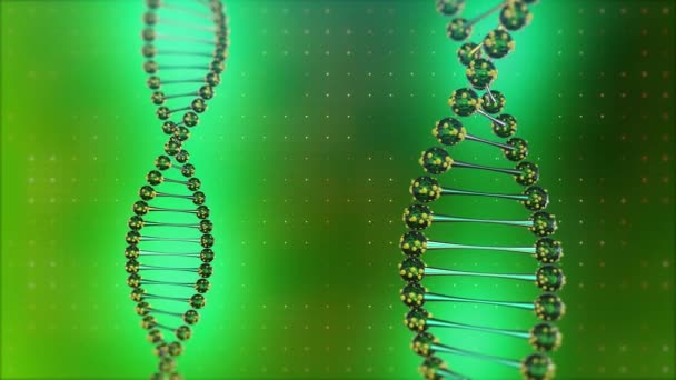 Две спирали ДНК вращаются на цифровом голубом фоне. Наука и здоровье — стоковое видео