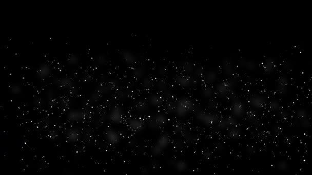 Resumen Fondo de partículas en blanco y negro. Las partículas de nieve giran. 4k — Vídeo de stock