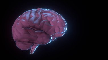 San Francisco, ABD - 27 Ağustos 2020: Nöroalink Şirketi ürün sunumu