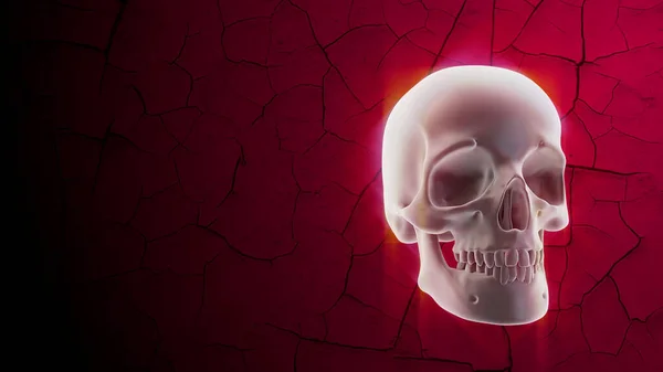 Crâne humain brillant sur fond rouge avec des fissures. Décoration Halloween — Photo