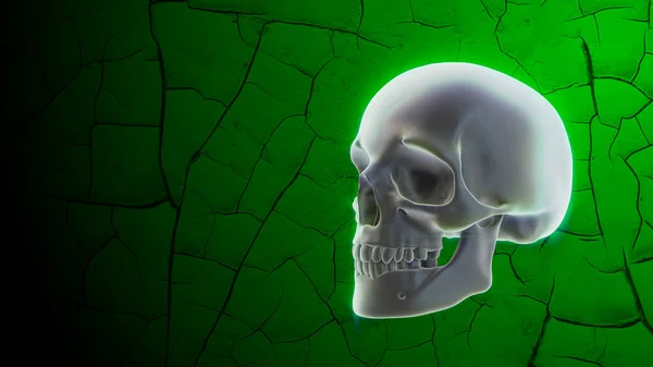 Crânio humano brilhante sobre fundo verde com rachaduras. Halloween decoração — Fotografia de Stock