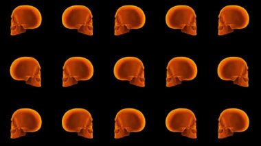 Turuncu kafatasları cadılar bayramı arkaplanı. Siyah arkaplanda dönen 3d kafatası.