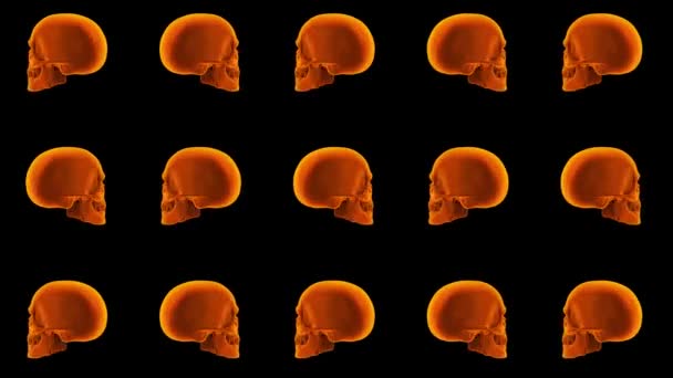 Calaveras naranjas fondo de Halloween. 3d cráneo girando sobre fondo negro. — Vídeos de Stock