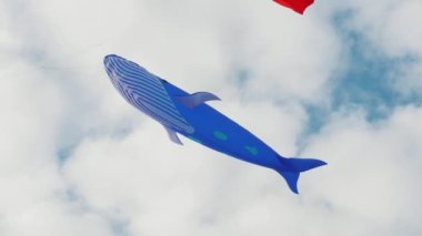 Balina şeklinde renkli bir uçurtma. Uçurtmalar plaj festivali. Bulutlu mavi gökyüzü