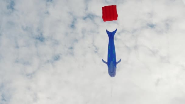 Blue paus layang-layang terbang di langit berawan pada hari yang cerah. Perayaan atau acara festival — Stok Video