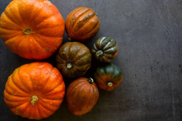 Fresh golden nuggets and acorn squashes on grey textured background with copy space. Top view photo of autumn harvest.