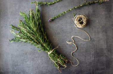 Gri desenli arka planda biberiye sınırları. Aromatik bitki manzaralı fotoğraf. Şifalı bitkiler kapanıyor.. 