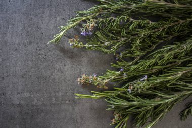 Gri desenli arka planda biberiye sınırları. Aromatik bitki manzaralı fotoğraf. Şifalı bitkiler kapanıyor.. 
