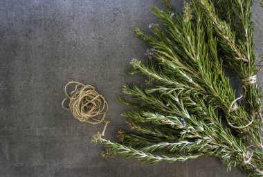 Gri desenli arka planda biberiye sınırları. Aromatik bitki manzaralı fotoğraf. Şifalı bitkiler kapanıyor.. 