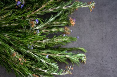 Gri desenli arka planda biberiye sınırları. Aromatik bitki manzaralı fotoğraf. Şifalı bitkiler kapanıyor.. 
