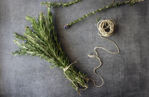 Gri desenli arka planda biberiye sınırları. Aromatik bitki manzaralı fotoğraf. Şifalı bitkiler kapanıyor.. 