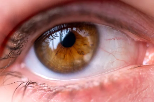 Olho Castanho Cílios Naturais Refletidos Pupila Vasos Sanguíneos Esclera — Fotografia de Stock