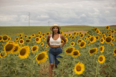 Genç, çekici, latin esmer kadın beyaz örgü örer, kot pantolon giyer ve şapka giyer. Ayçiçeği tarlasında yürürken gülümser ve mutlu olur. Kavram: doğa, tarım, kırsal.