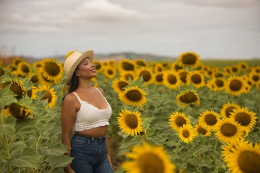 Genç, çekici, latin esmer kadın beyaz örgü örer, kot pantolon giyer ve şapka giyer. Ayçiçeği tarlasının ortasında gülümser ve mutlu olur. Kavram: doğa, tarım, kırsal.