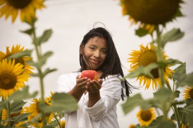 Genç, çekici, Latin esmer kadın beyaz gömlek giyiyor, mutlu bir şekilde gülümsüyor ve ayçiçeği tarlasının ortasında bir elma tutuyor. Kavram: doğa, tarım, kırsal.