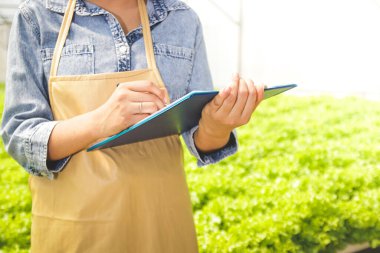 Genç girişimci Asyalılar yurtdışına ihraç etmek için organik sebze yetiştiriyorlar. Ürünleri kontrol ediyor..