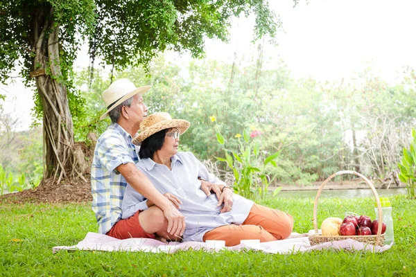 Parejas Asiáticas Mayores Sientan Hacer Picnics Relajarse Parque Disfrutan Vida —  Fotos de Stock