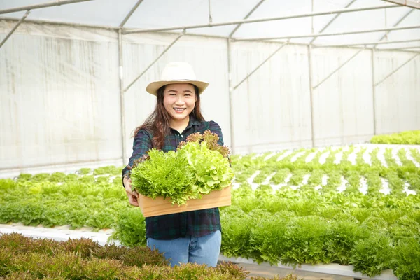 Vrouwelijke Boeren Verbouwen Biologische Groenten Met Moderne Hydrocultuur Permanent Met — Stockfoto