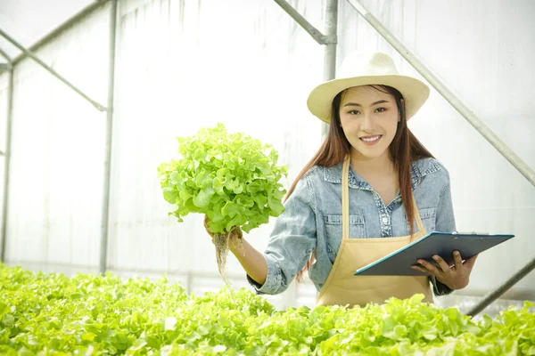 Aziatische Vrouwelijke Boeren Doen Biologische Groenteboerderijen Met Moderne Technologie Produceren — Stockfoto