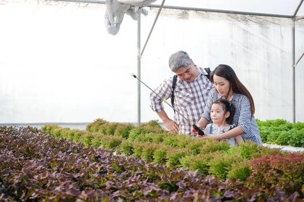 Ouders Kinderen Gelukkige Familie Landbouw Van Hydrocultuur Groenten — Stockfoto