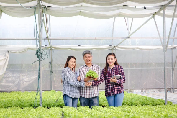 Agricultores Masculinos Femeninos Cultivan Vegetales Hidropónicos Utilizando Tecnología Moderna —  Fotos de Stock