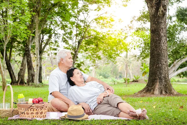 资深的亚洲夫妇坐在公园里野餐放松 他们享受退休后的生活 老年人社区的概念 — 图库照片