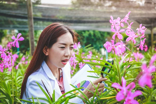 Menina Bonita Estudiosos Desenvolvimento Pesquisa Orquídeas Para Qualidade Para Exportação — Fotografia de Stock