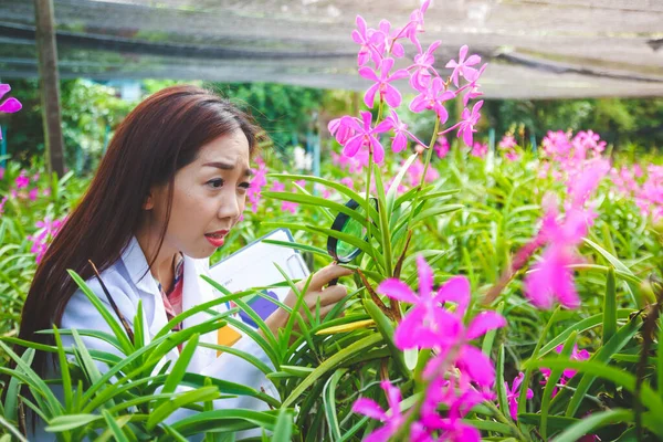 Menina Bonita Estudiosos Desenvolvimento Pesquisa Orquídeas Para Qualidade Para Exportação — Fotografia de Stock