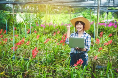 Uzun kollu ekose gömlek giyen Asyalı kadınlar. Orkide Bahçesi Sahibi yurtdışına ihracat yapıyor. Onlara göz kulak olacak..