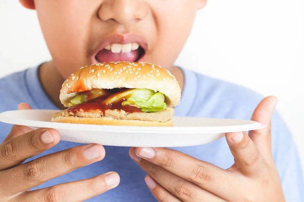 Asyalı Şişman Çocuk Hamburger Yer Çocukların Fiziksel Sağlık Sorunlarına Yol — Stok fotoğraf
