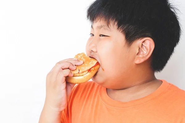 Anak Gemuk Asia Makan Hamburger Konsep Pangan Yang Menyebabkan Masalah — Stok Foto