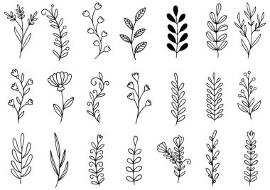 0097 el çizilmiş çiçekler karalama