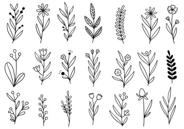 0086 el çizimi çiçekler karalama