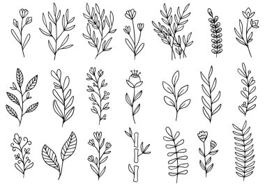 0086 el çizimi çiçekler karalama