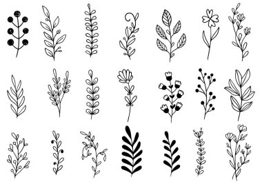 0085 el çizimi çiçekler karalama