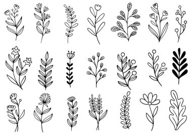 0078 el çizimi çiçekler karalama