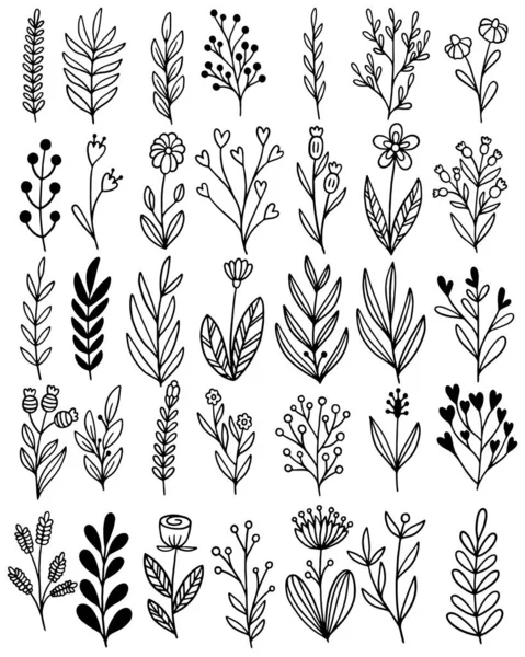 Hand Drawn Flowers Doodle — Stock Vector